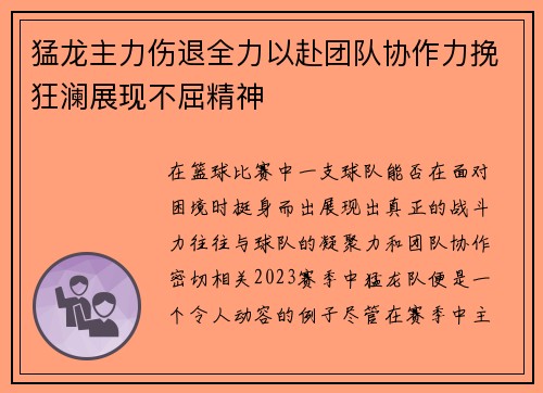 猛龙主力伤退全力以赴团队协作力挽狂澜展现不屈精神
